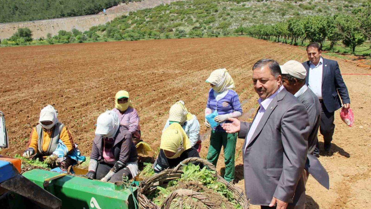 Baştuğ’dan ‘Çiftçiler Günü’ mesajı