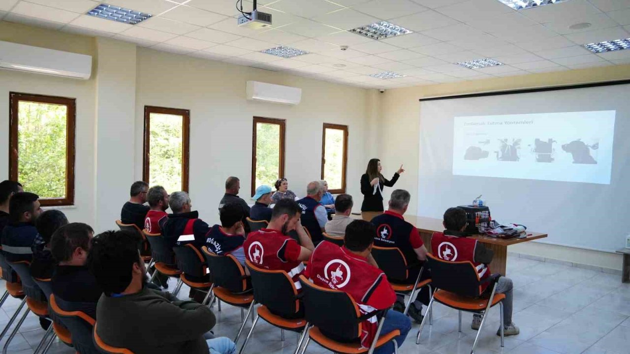 Sokak hayvanlarını yakalama ve toplama eğitimi