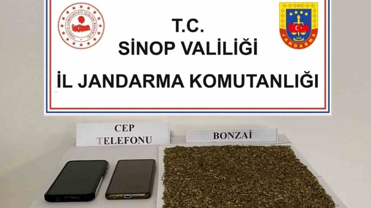 Sinop’ta 80 gram bonzai ele geçirildi