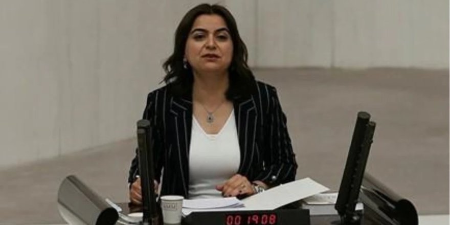 Milletvekili Koçyiğit, Kürtçe'nin Korunmasını Talep Etti