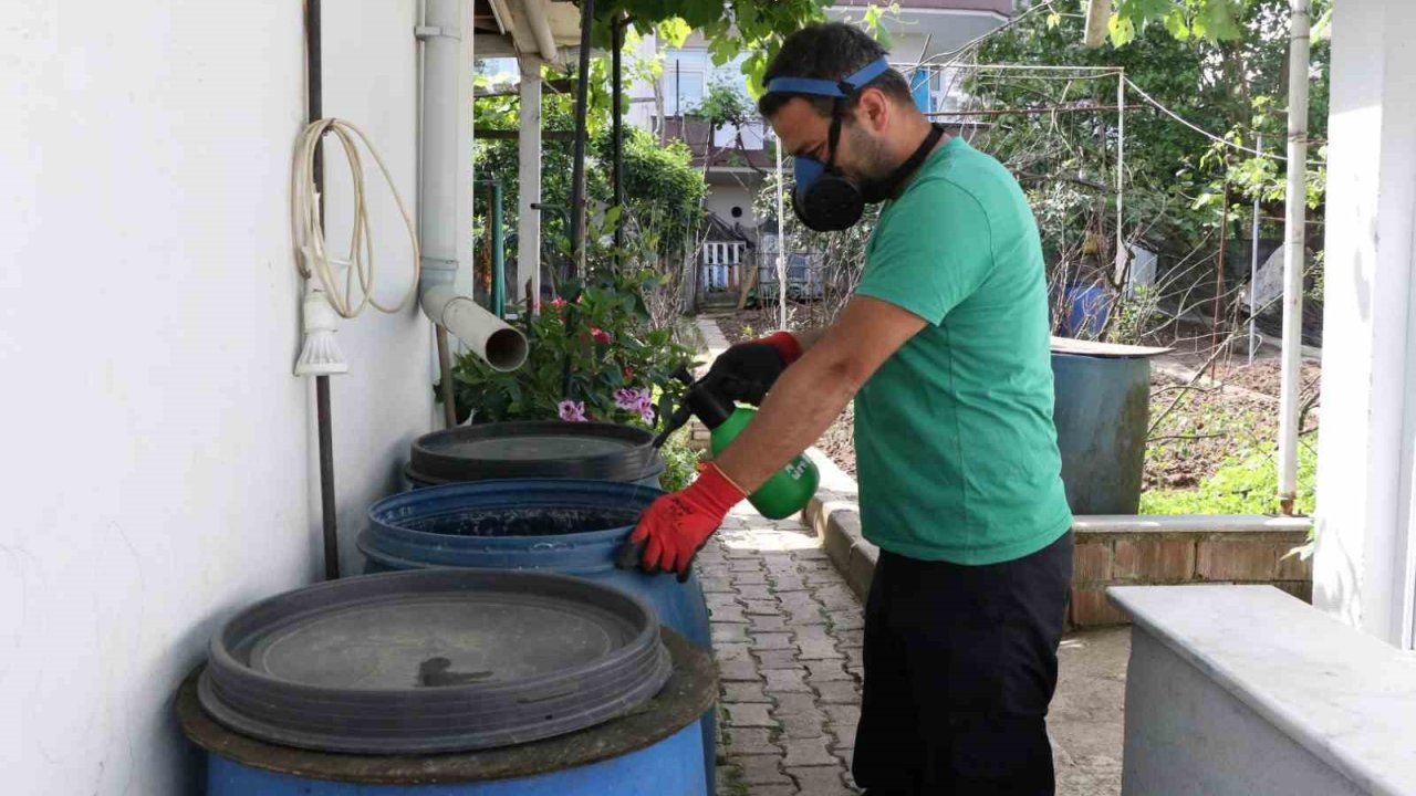 Ekipler sivrisineklerle mücadele için sahada