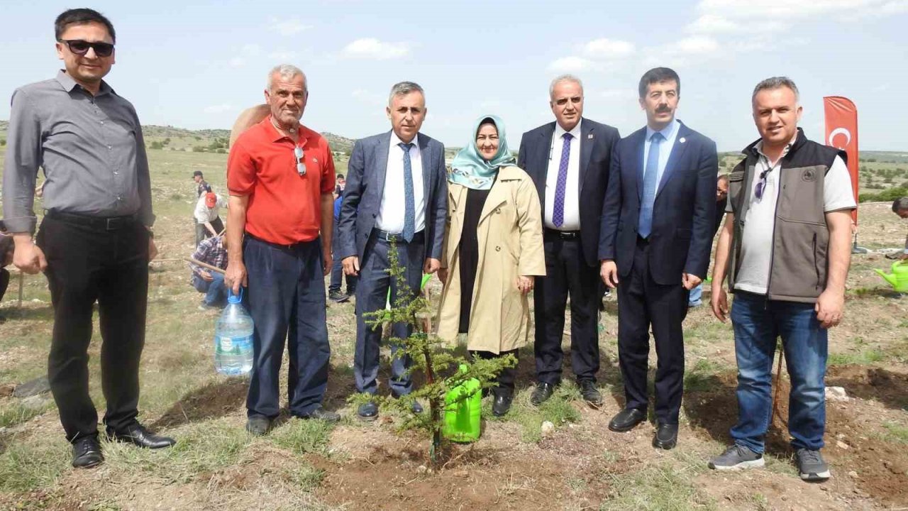 Kütahya’da Aile Haftasında Aile Ormanı tesis edildi