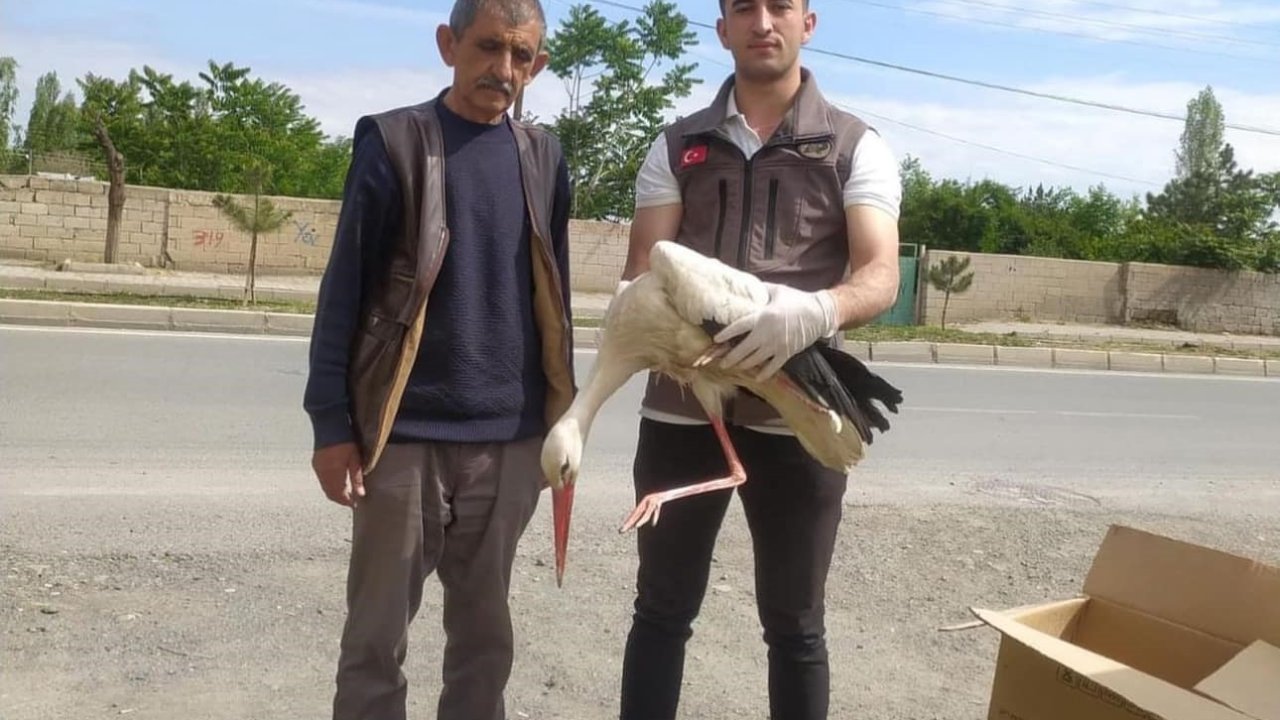 Iğdır’da yorgun düşen leylek bakıma alındı