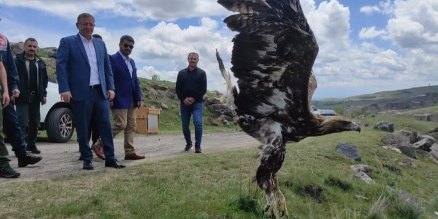 Tedavisi tamamlanan Kara Akbaba ve Bozkır Kartalı doğaya salındı