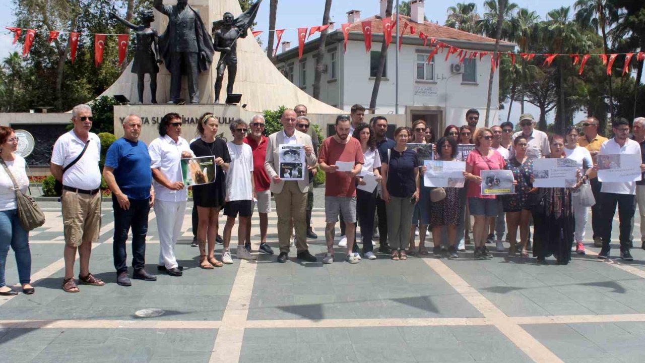 Alanya’da hayvanseverlerden sokak hayvanları düzenlemesine tepki