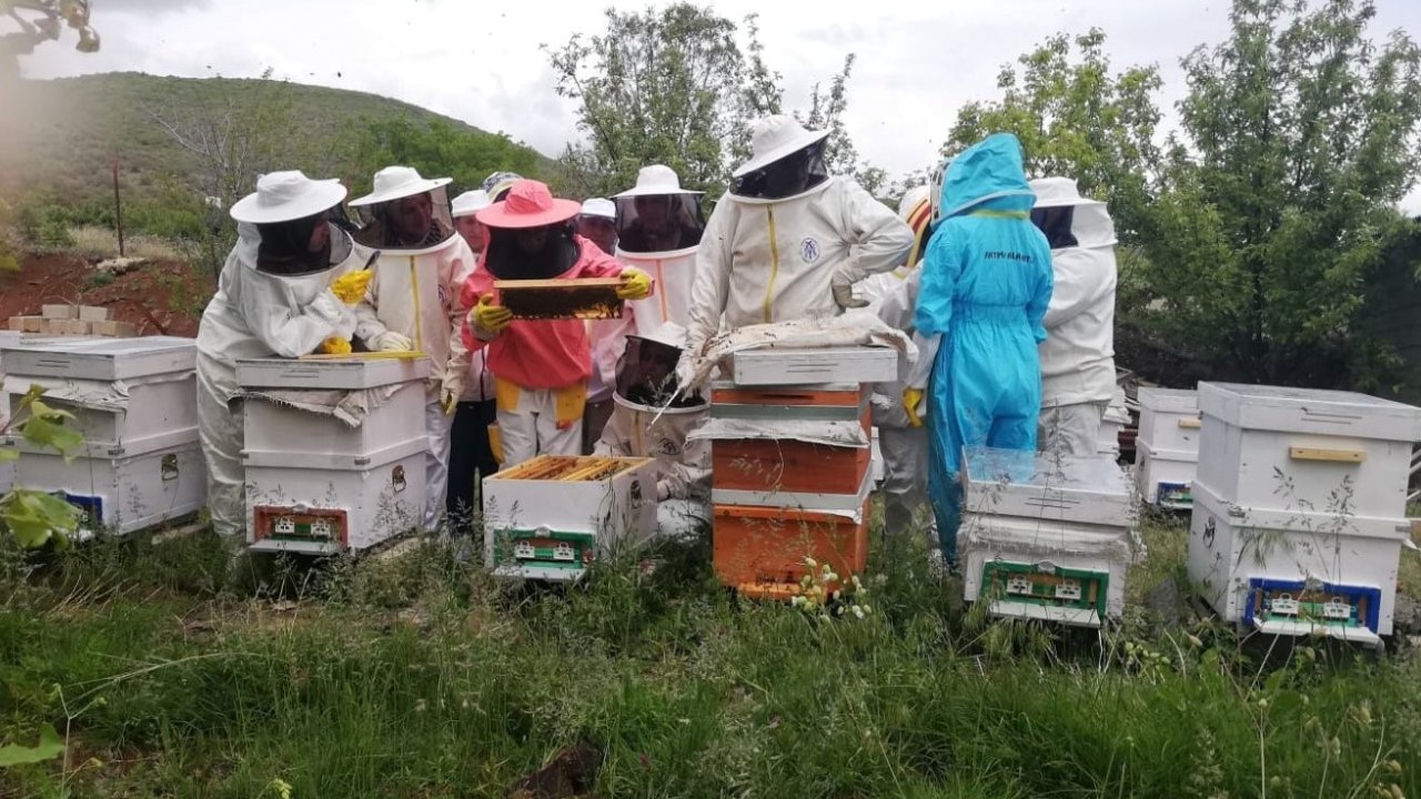 Erzincan’da kadınlar arı sütü üretecek