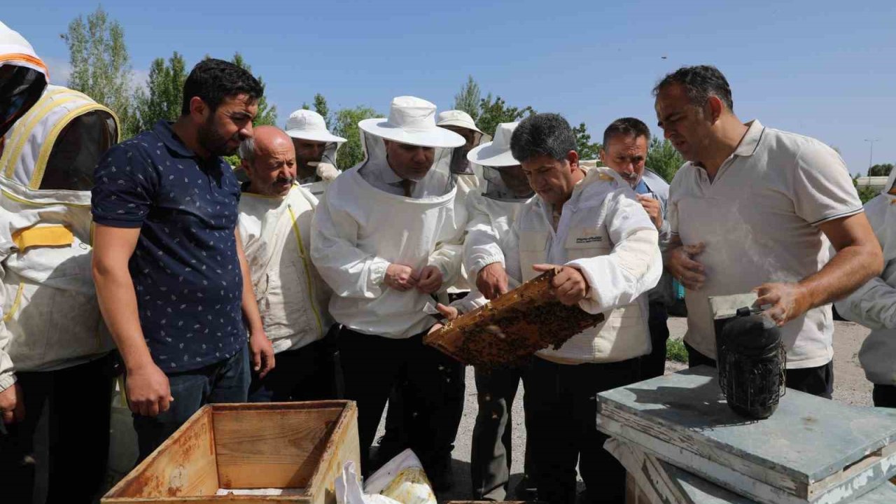 Arı yetiştiricilerine uygulamalı eğitim