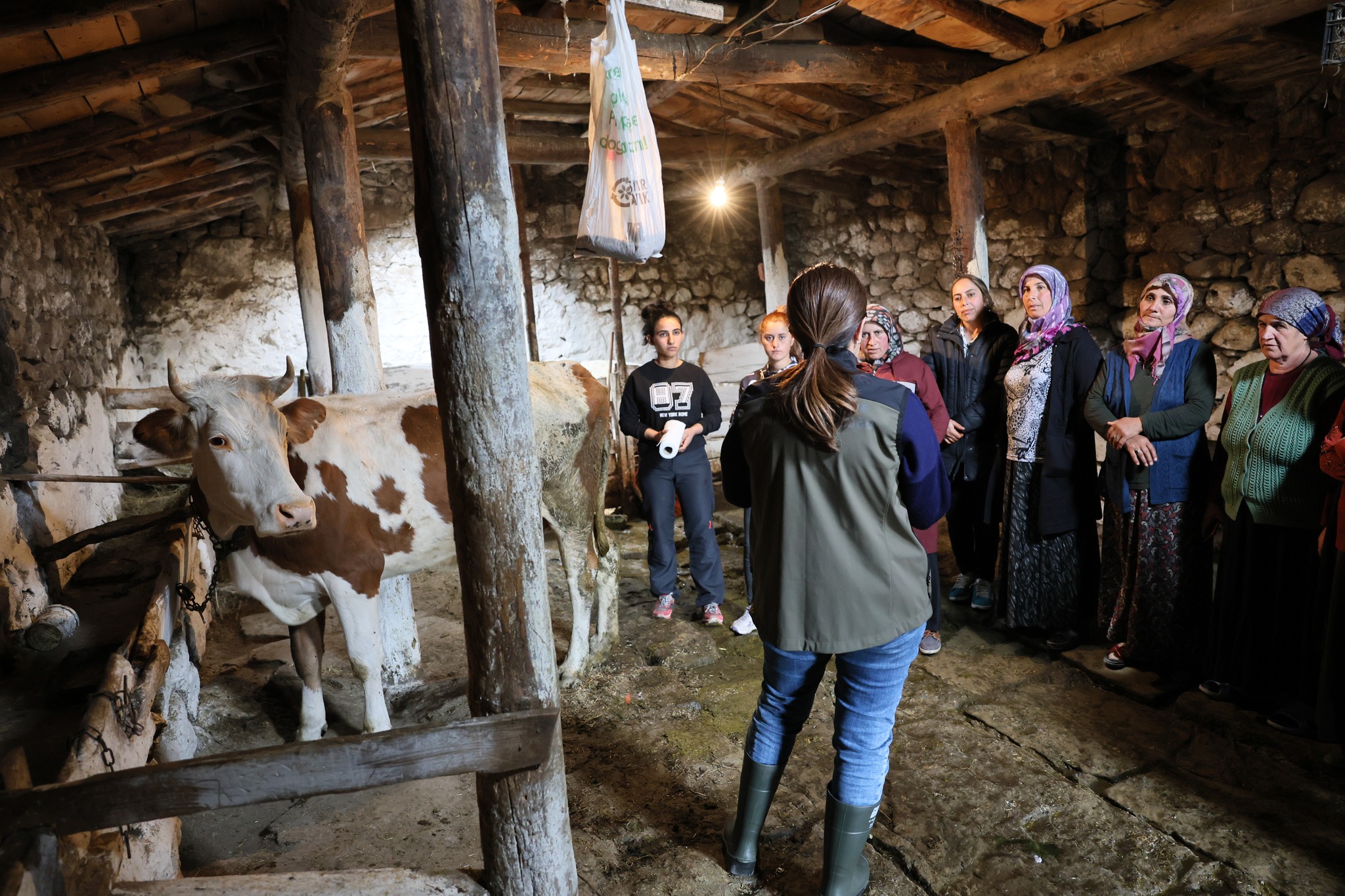 Kars İl Tarım çiftçilere uygulamalı eğitim verdi.