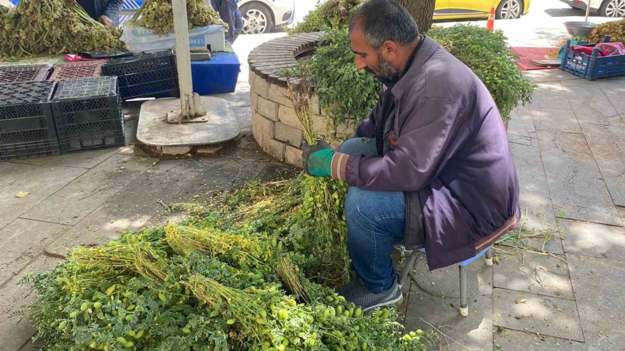 Elazığ’da yeşil nohut tezgahlardaki yerini aldı