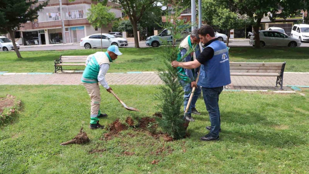 Peyzaj çalışması ile parklar güzelleştiriliyor