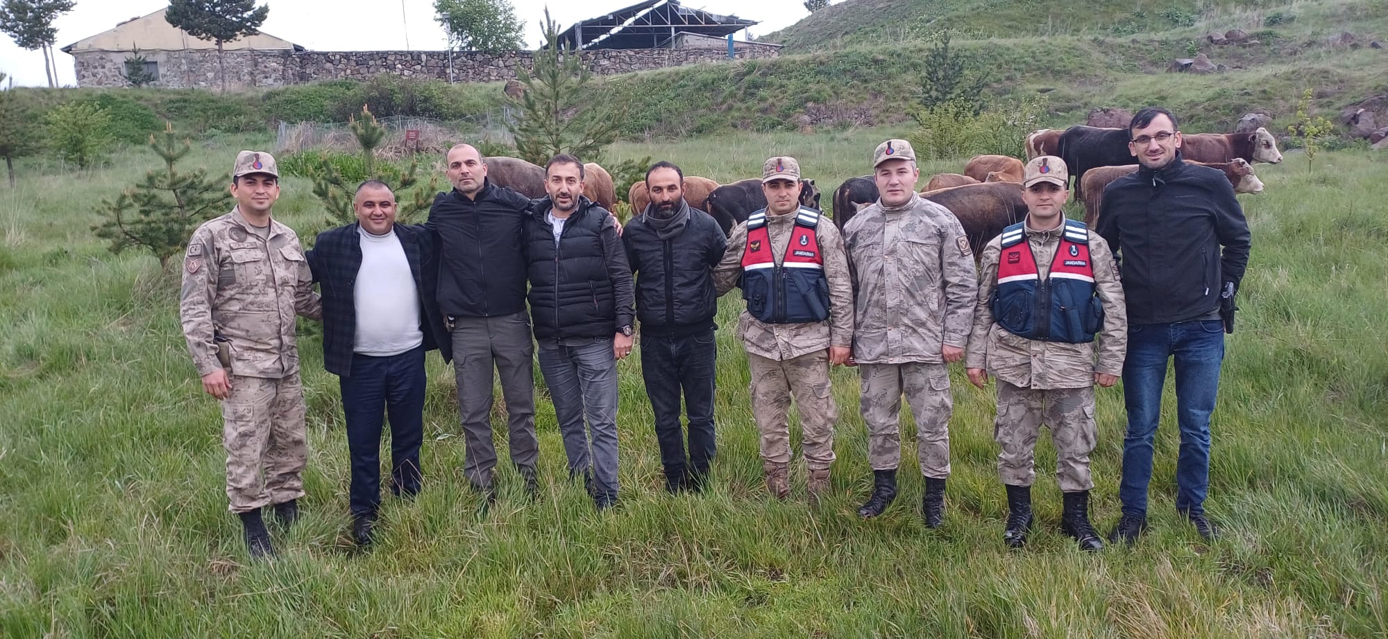 Kars'ta çalınan hayvanlar Ardahan’da çıktı!