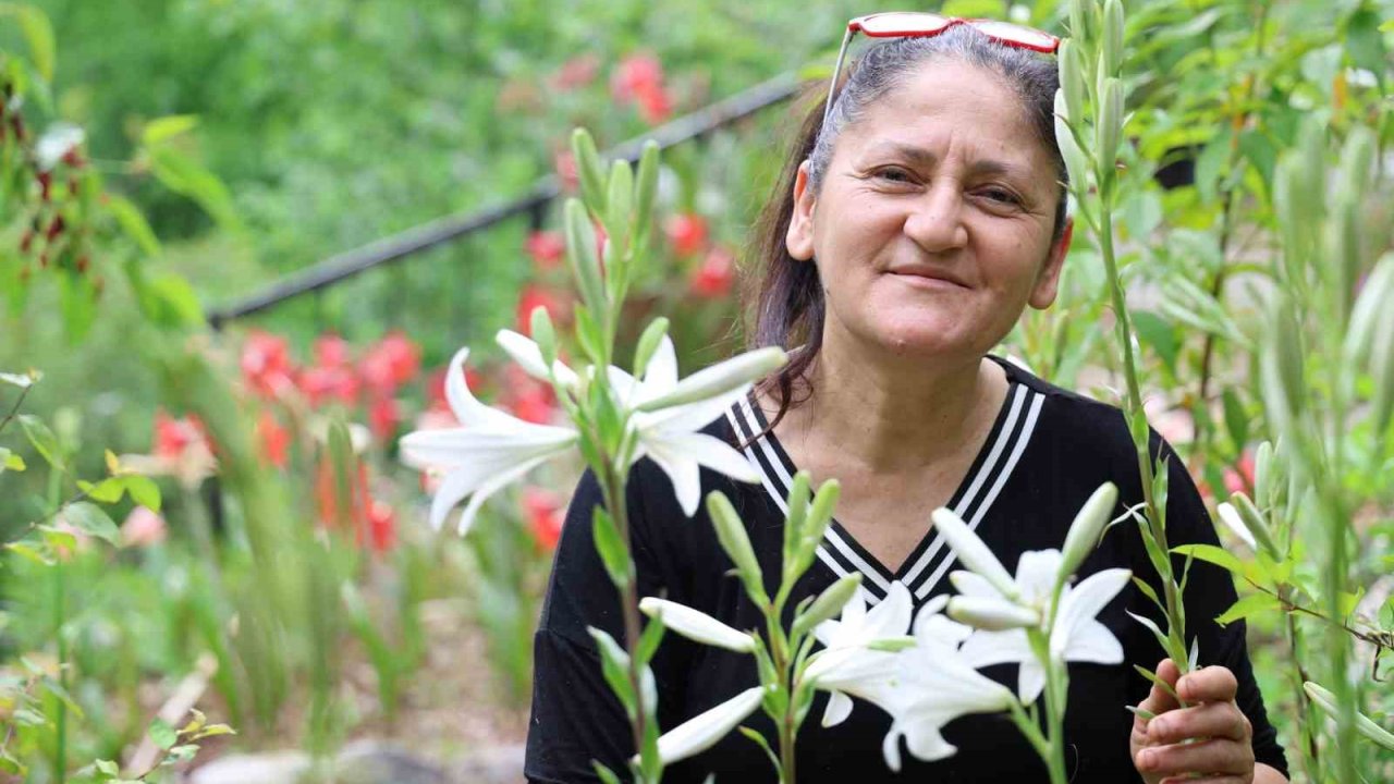 Tokat’tan getirdi, Kozan yaylalarında üretime başladı