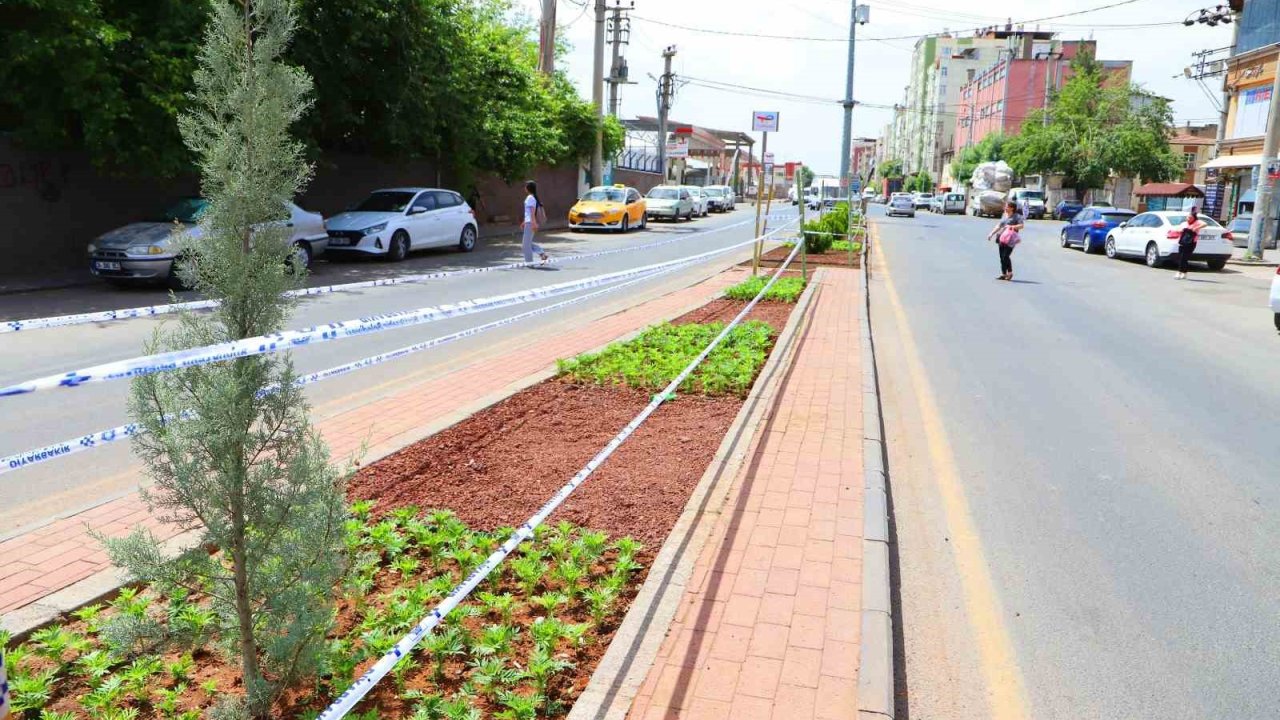 Diyarbakır’da peyzaj çalışmaları sürüyor