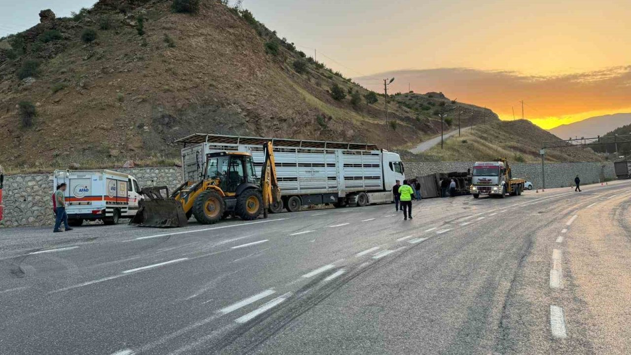 Siirt’te tır devrildi: 2 kişi yaralandı, 40 küçükbaş hayvan telef oldu