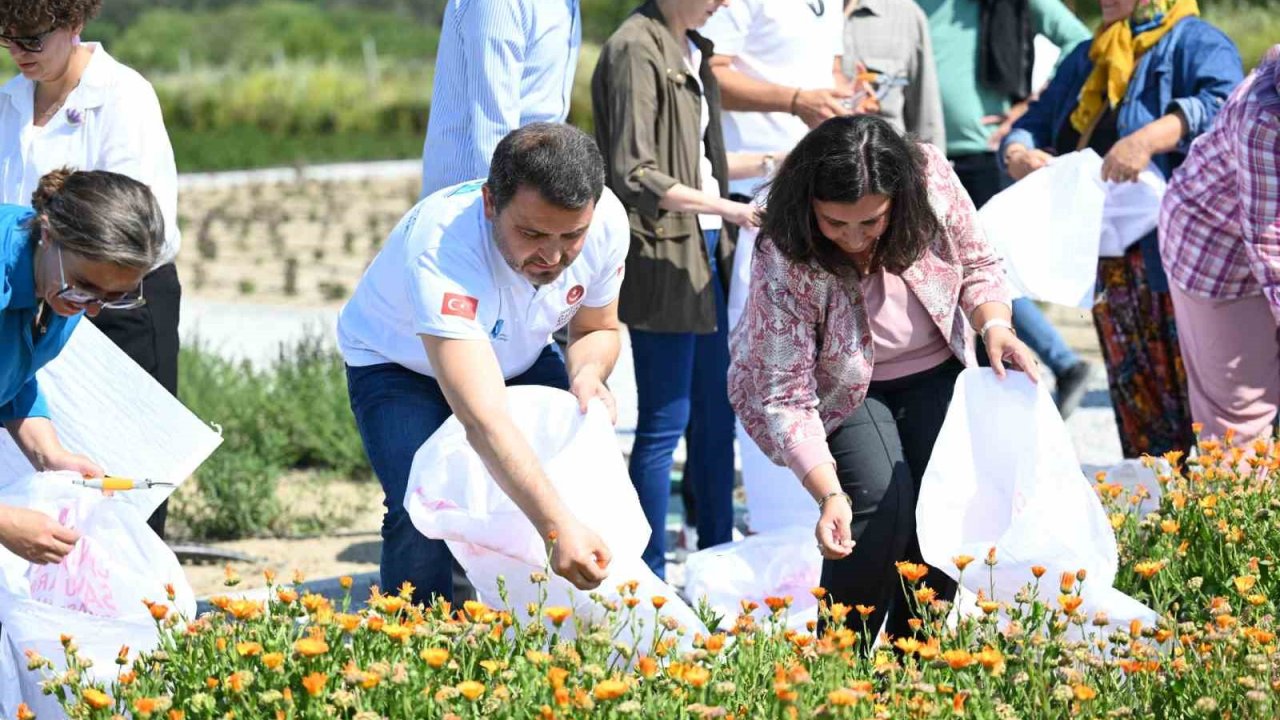 Tarihi Alan’da “Gazi Köylerde Şifa Çiçekleri Açıyor” projesi hayata geçirildi