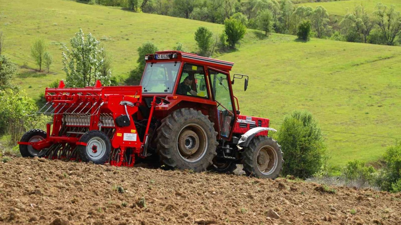 Ordu’da karabuğday üretimi için ekim yapıldı