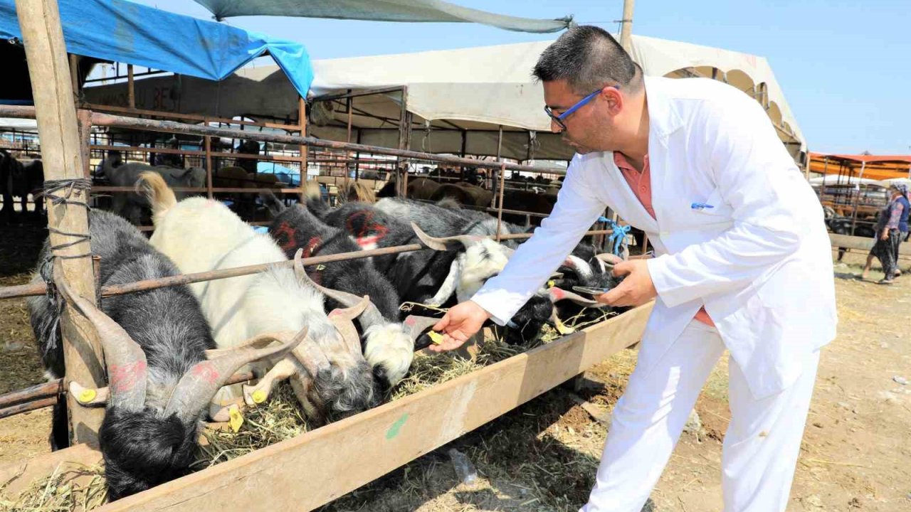 Yüreğir’de kurban satış ve kesim yerleri belirlendi