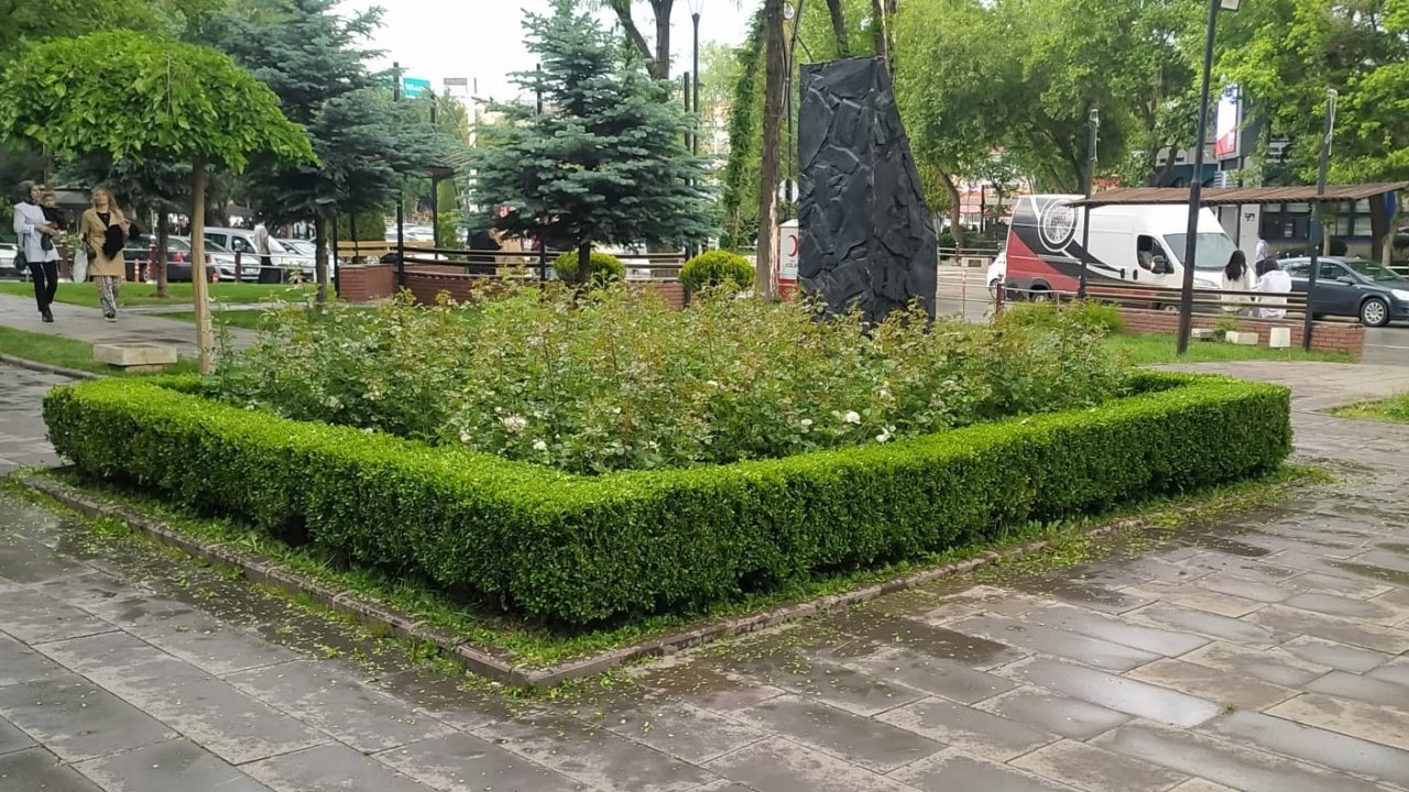 Sincan Belediyesinden ağaçlara bakım