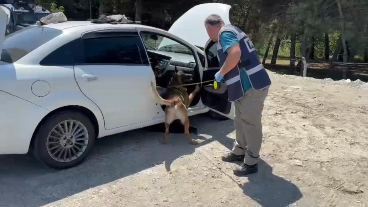 Narkotik köpeği zuladaki uyuşturucuyu buldu