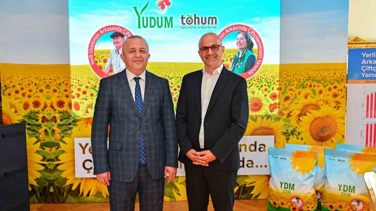 Yüzde 100 yerli ayçiçek tohumu Türk tarımına kazandırıldı