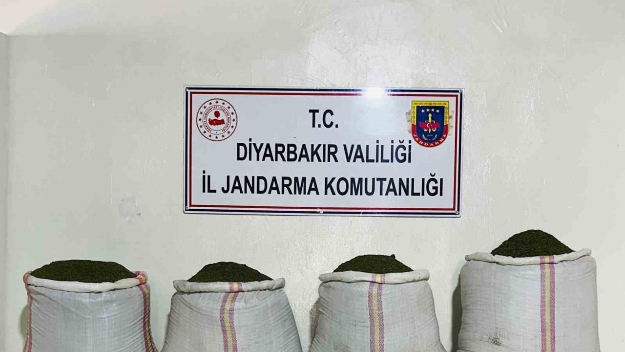 Diyarbakır’da 34 bin 500 kök kenevir ve 112 kilo esrar ele geçirildi