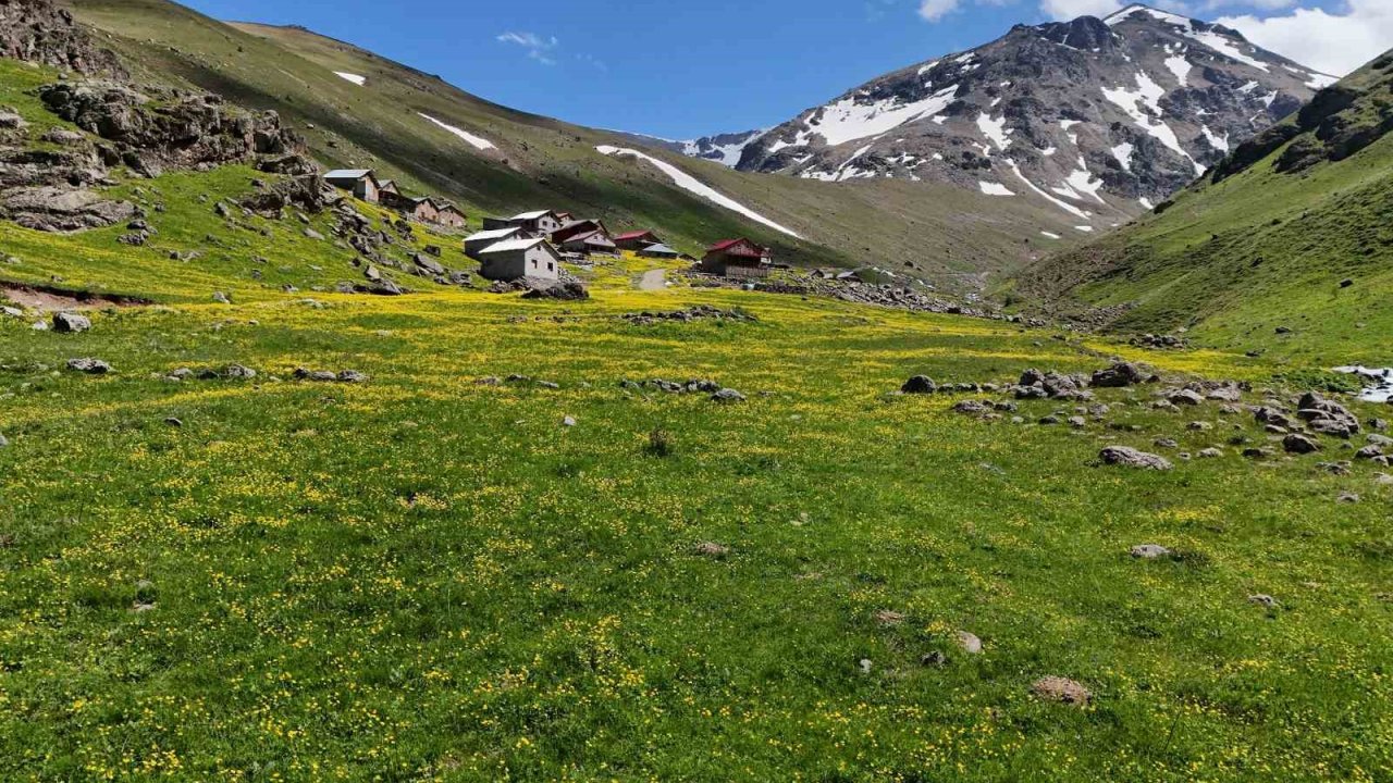 Dulağa Yaylası’nın Alpler’i aratmayan güzelliği