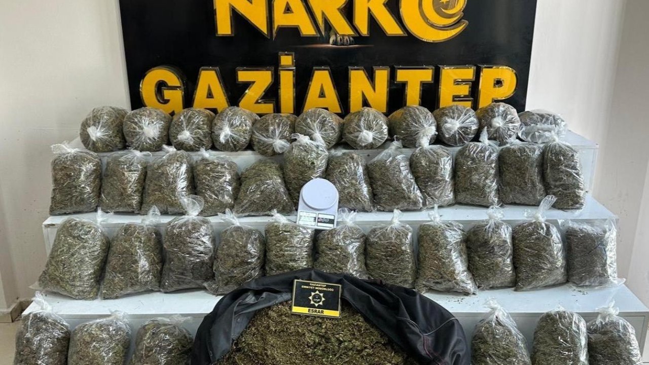 Gaziantep’te 56 kilo esrar ele geçirildi