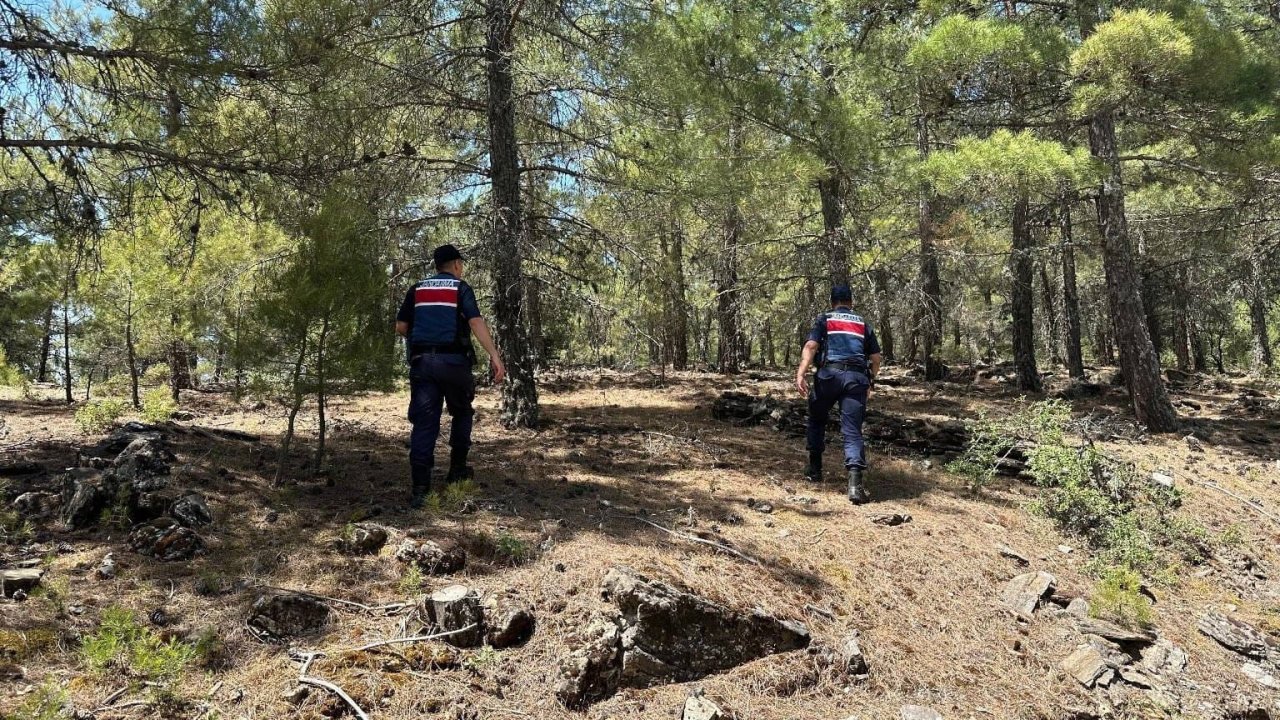 Jandarmadan ’orman yangını’ tedbiri