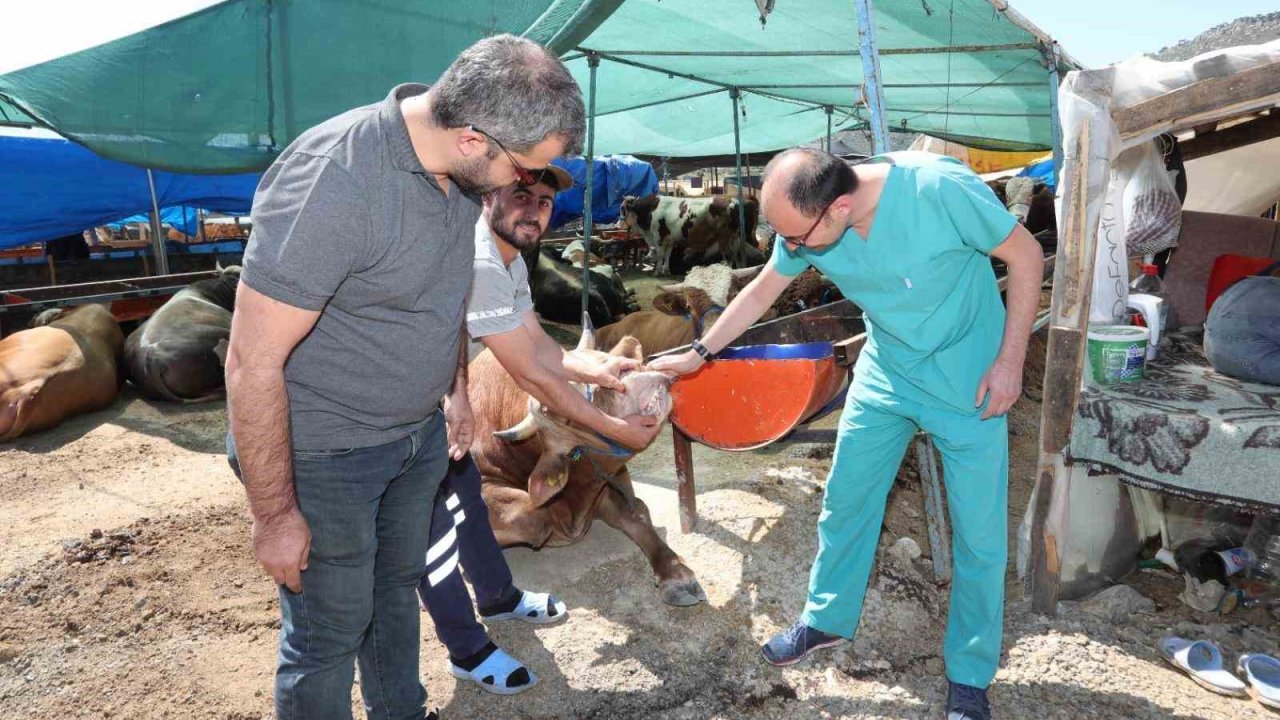 Bayraklı’da Kurban Bayramı’na hazırlıkları