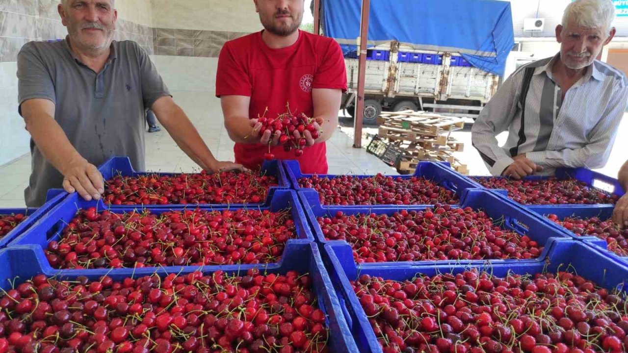 Selendili kiraz üreticileri umduğunu bulamadı