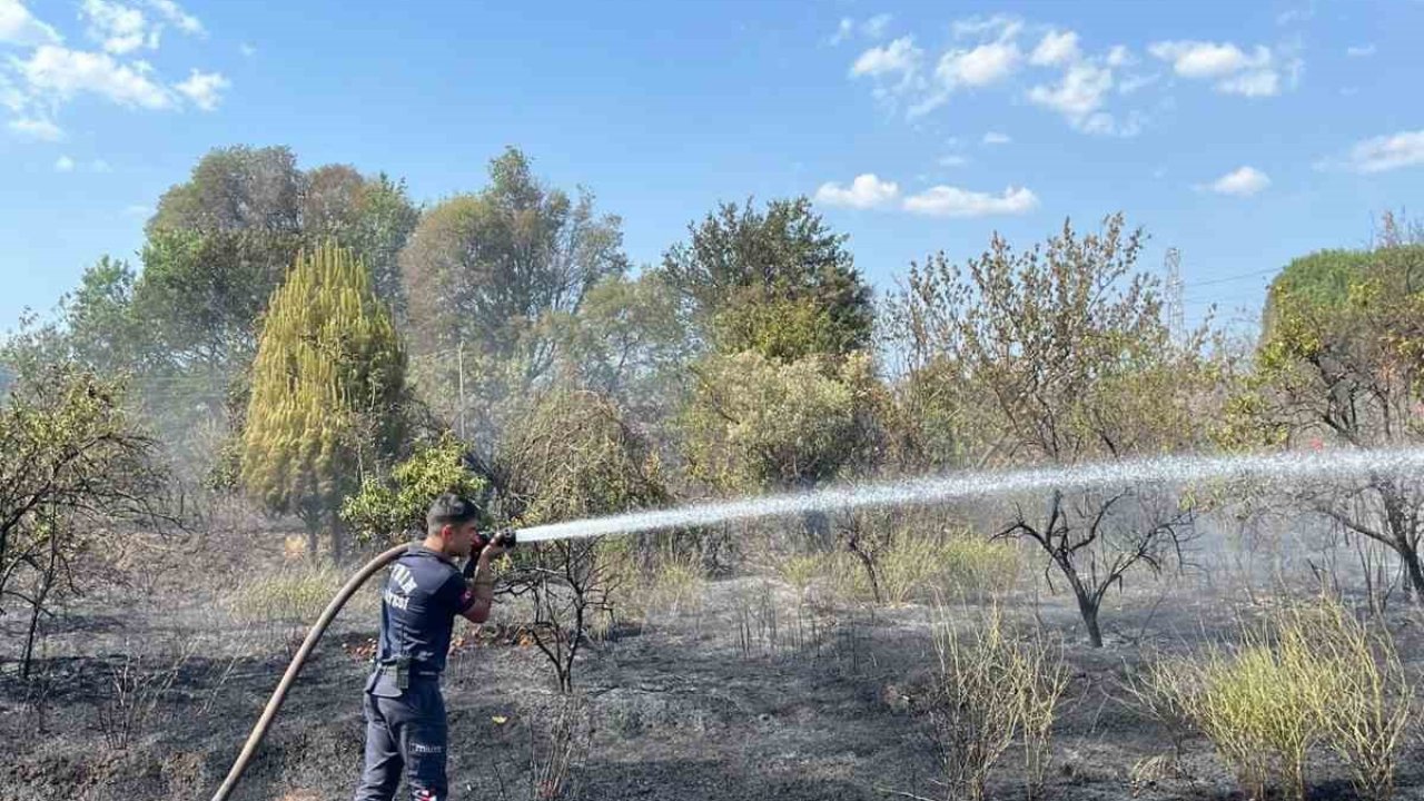 Aydın Büyükşehir Belediyesi İtfaiyesi’nden hızlı müdahale