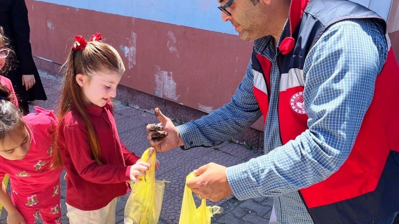 Altıntaş’ta ilkokul öğrencilerine 300 adet sebze fidesi dağıtıldı