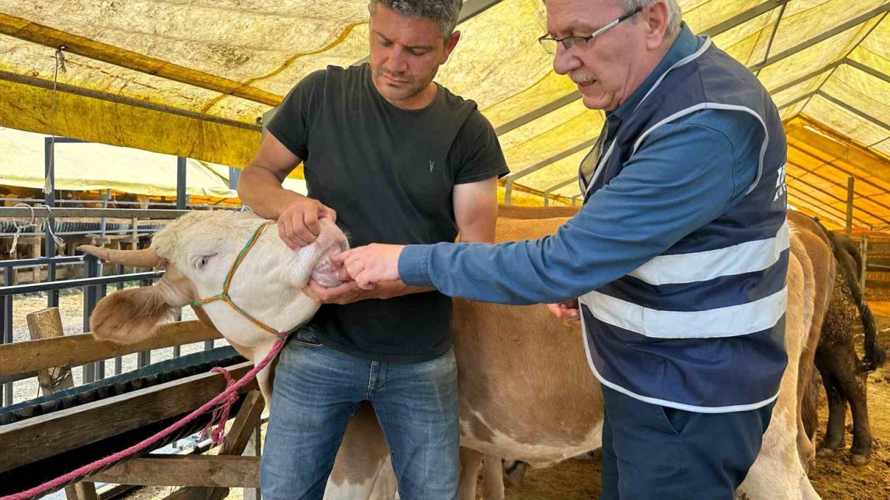 İhlas Vakfı Kurban Bayramı’nda faaliyetlerini sürdürüyor