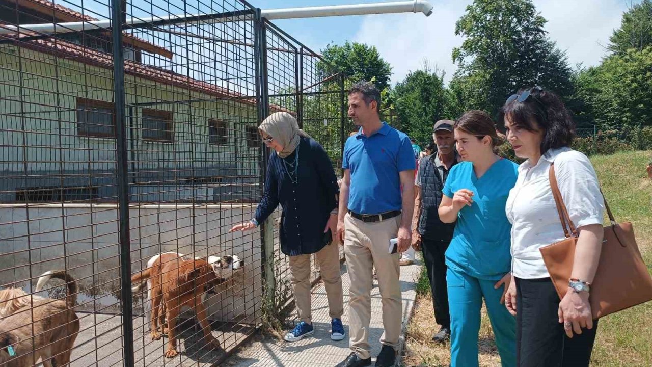 CHP heyetinden hayvan konukevine tam not