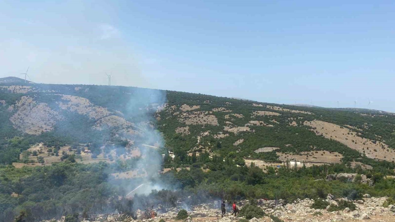 Ayvacık’ta makilik alan yangını