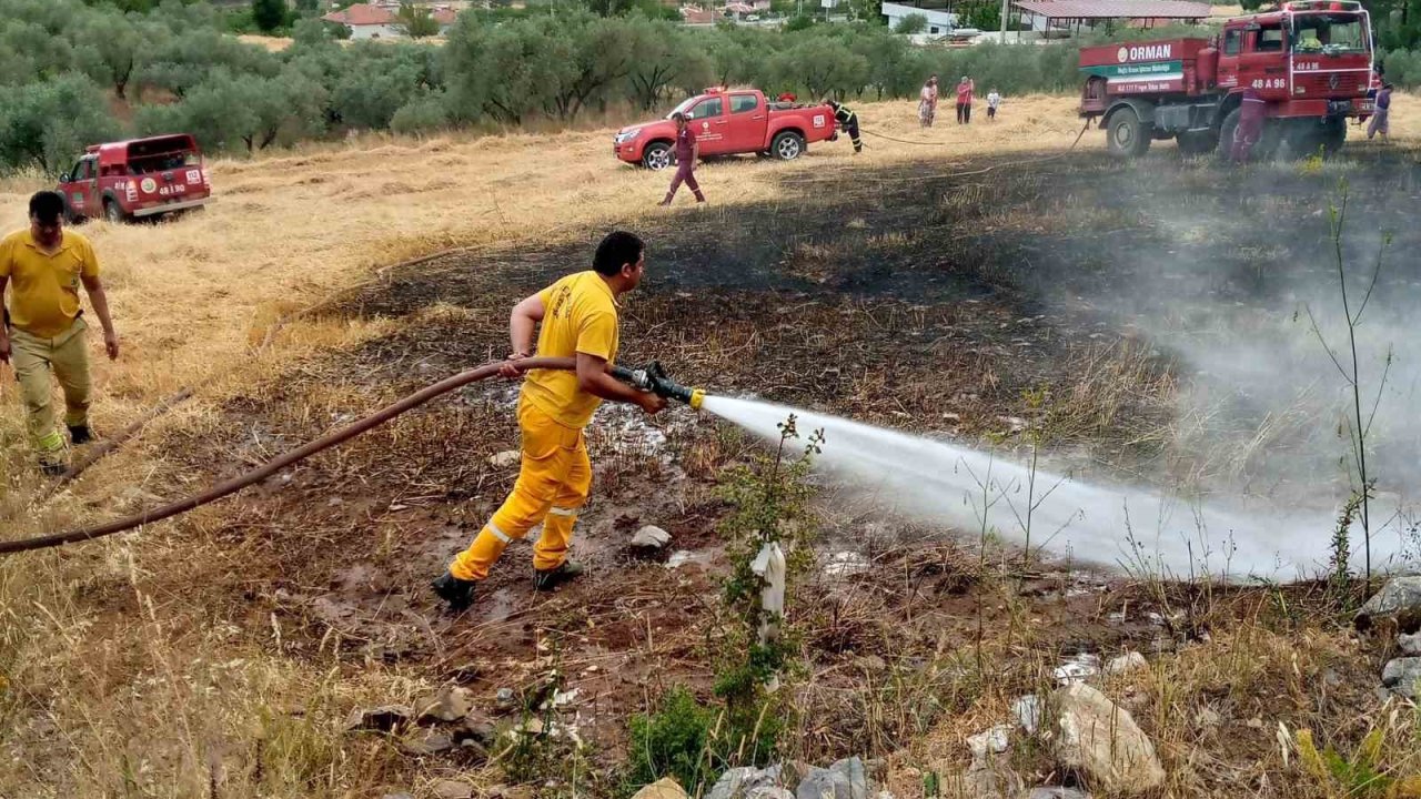 Menteşe’de tarlada çıkan ot yangın korkuttu