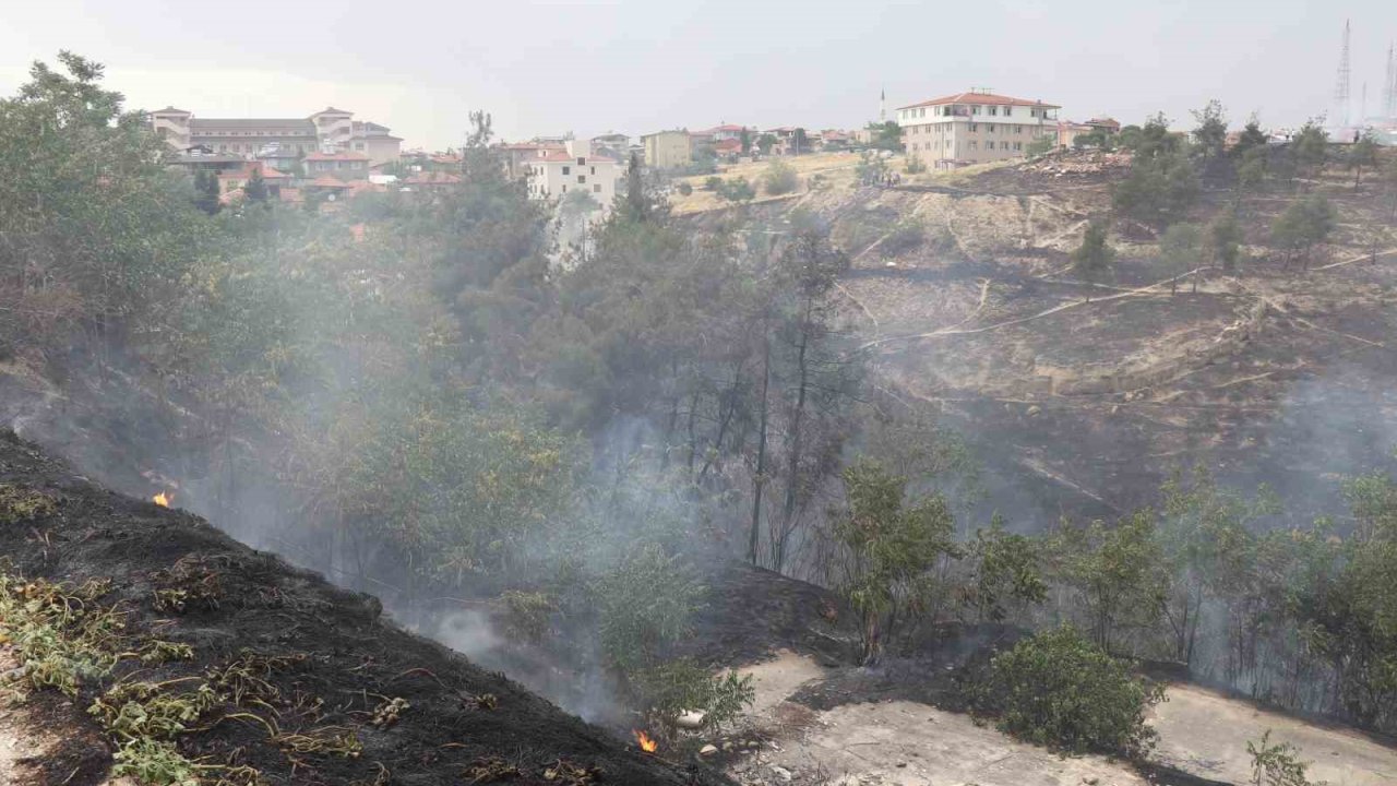 Denizli’deki orman yangınına  havadan ve karadan müdahale ediliyor