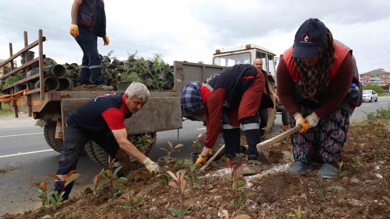 Düzce’nin dört bir yanı çiçeklendiriliyor