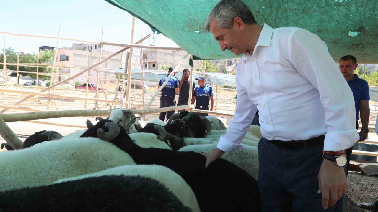 Tahmazoğlu’ndan Kurban Bayramı’nda vatandaşın yüzünü güldürecek hamle