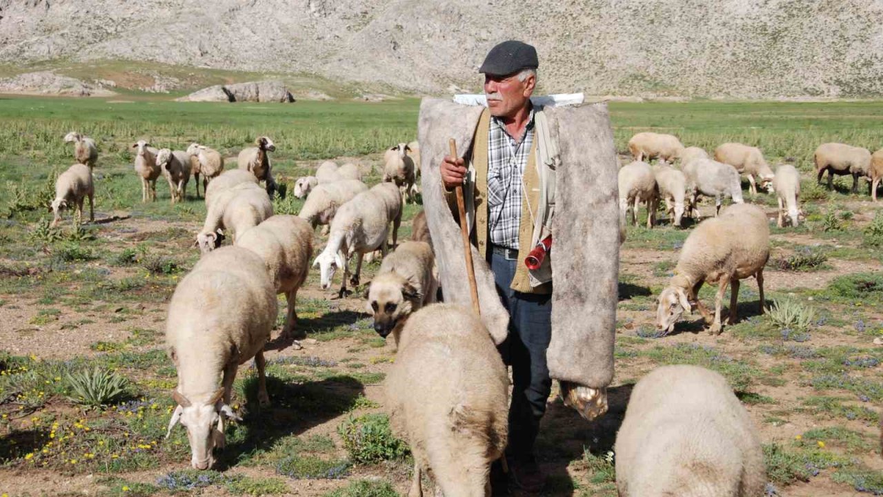 Antalya’da Yörüklerin yayla serüveni başladı