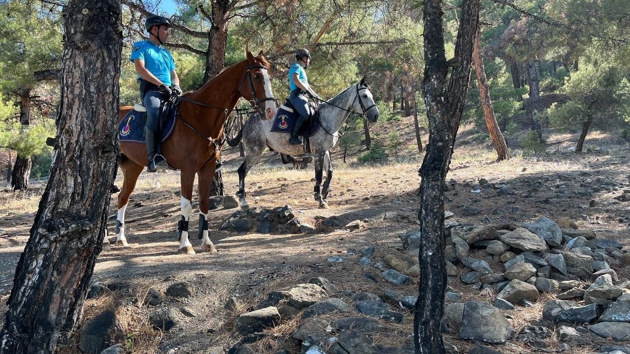 Burdur Valiliği tarafından 15 Haziran- 15 Ekim tarihleri arasında ormanlık alana girişler yasaklandı