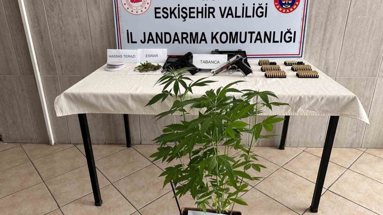 Evinde kenevir yetiştiren şahsa jandarma operasyonu