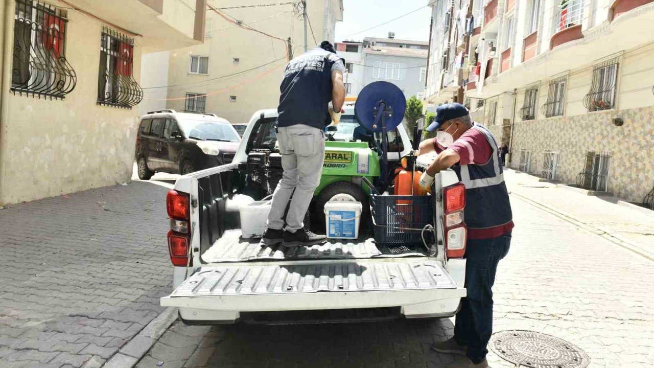 Esenyurt Belediyesinden haşere ve böceklerle etkin mücadele