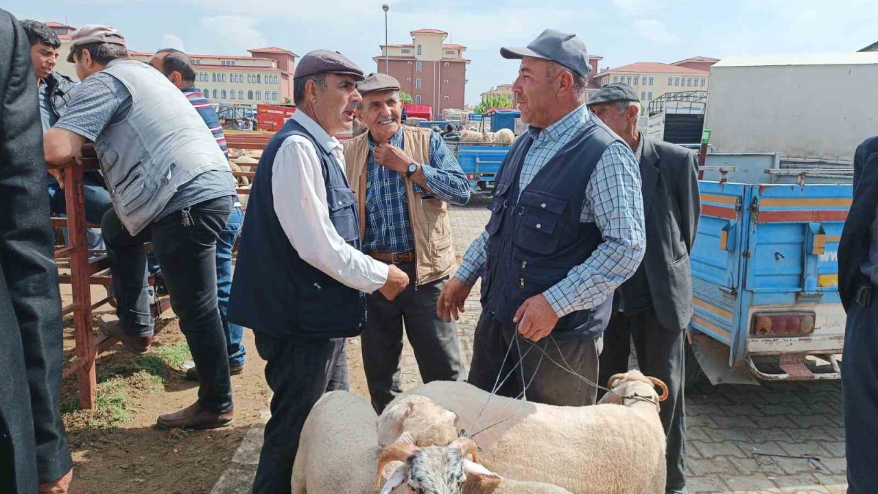 Afyonkarahisar’da küçükbaş kurbanlıklar müşterilerini bekliyor