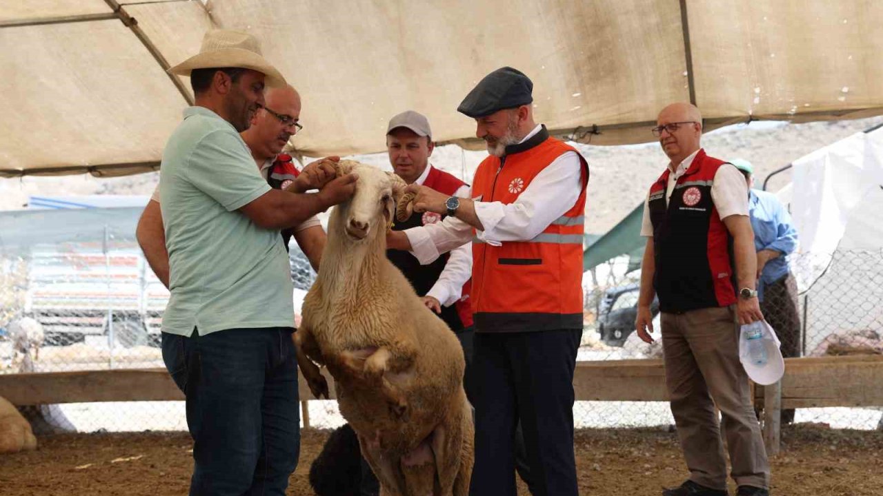 Kayseri’de tek, Türkiye’ye ise örnek olan profesyonel kurban hizmeti bayrama hazır