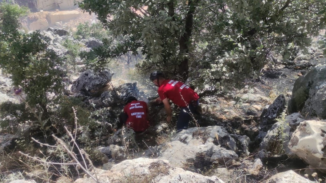 Orman yangını güçlükle söndürüldü