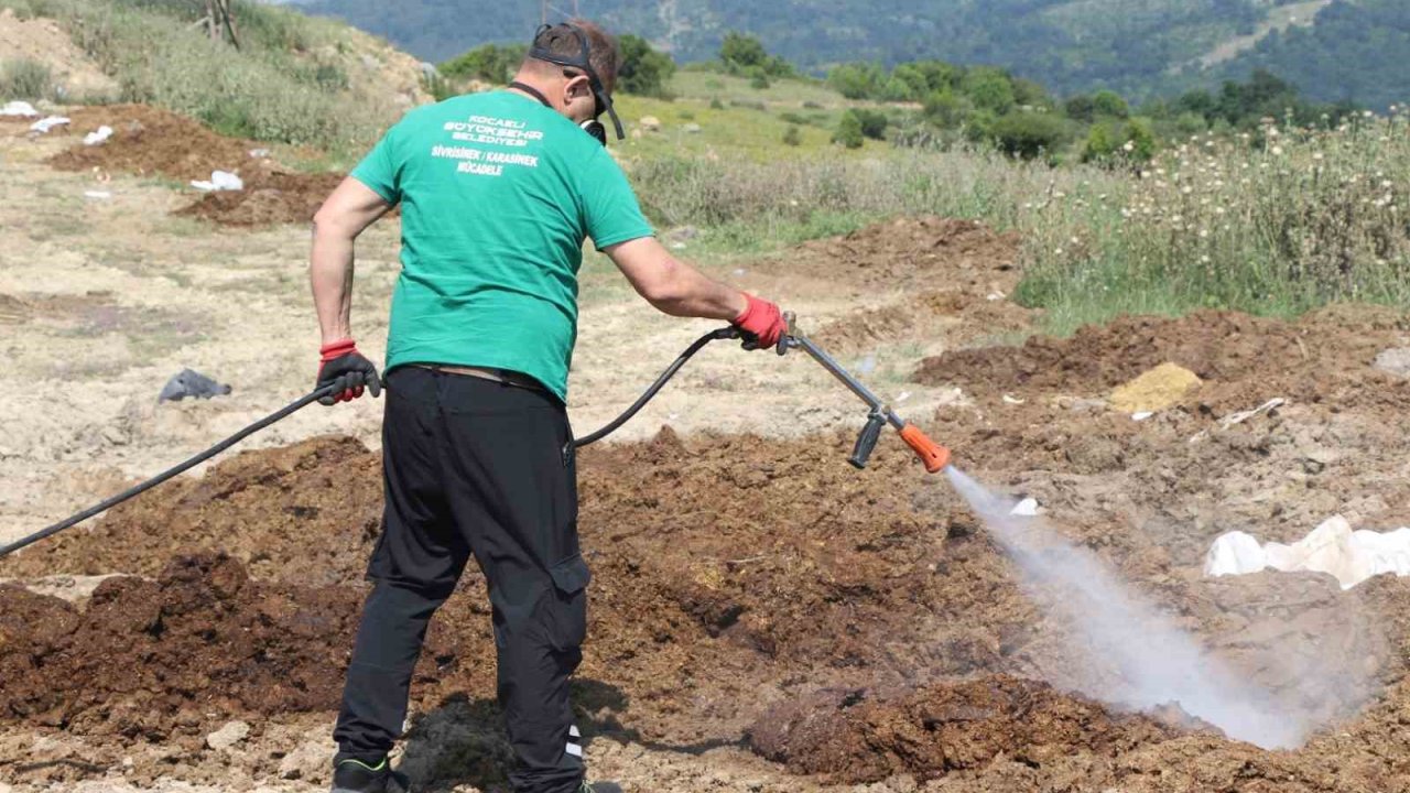 Kurban satış alanları ilaçlanıyor