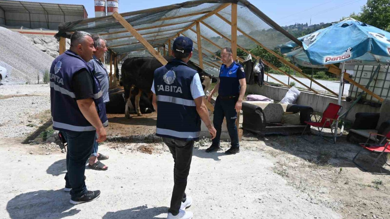 İlkadım zabıtası kurban denetimlerini artırdı