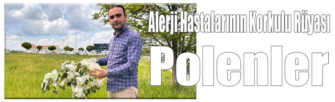 Alerji Hastalarının Korkulu Rüyası; Polenler