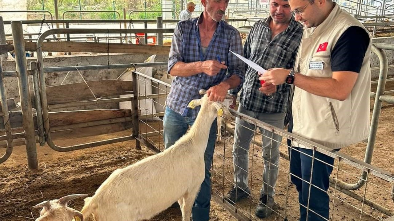 Edirne’de kurban satış yerlerinde denetim